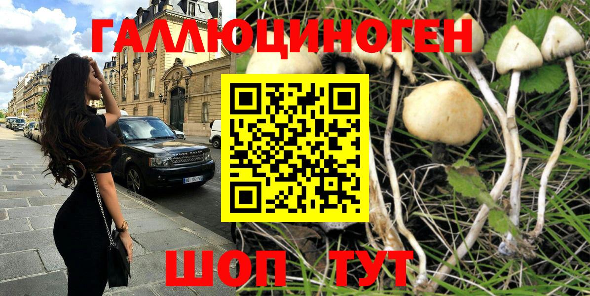 Псилоцибиновые грибы прущие грибы Магадан
